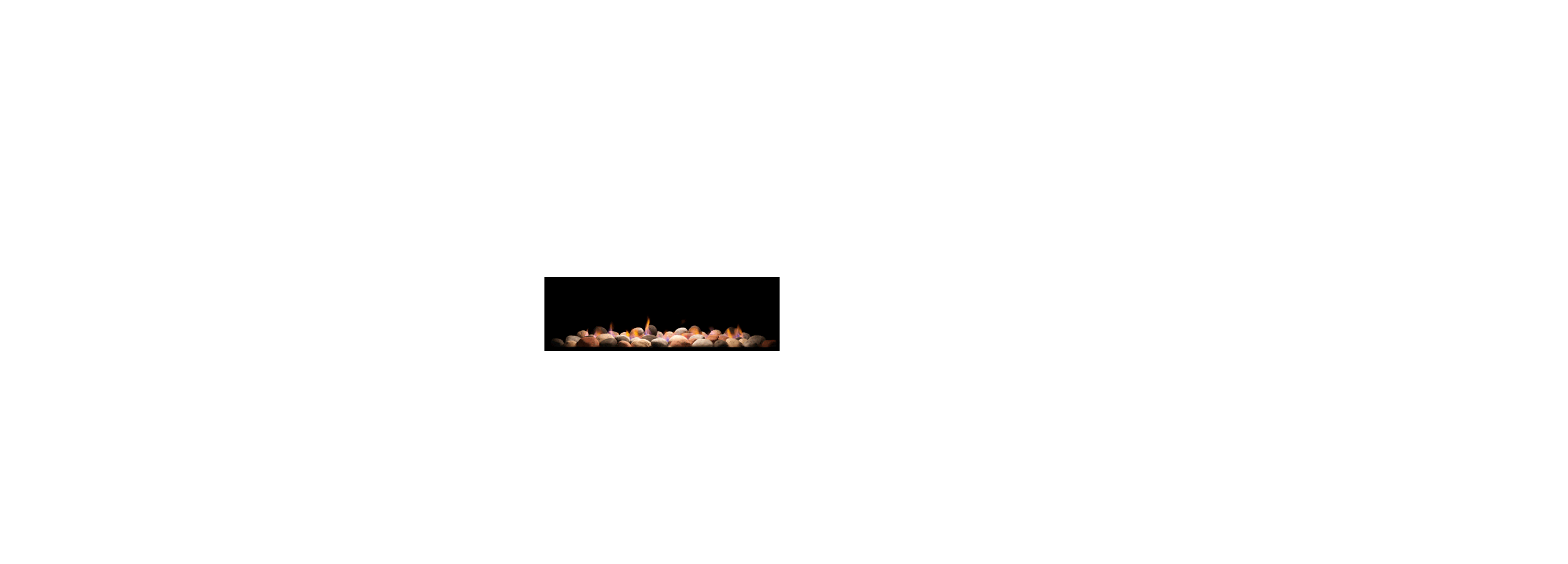 Napoleon Vector 45 fireplace